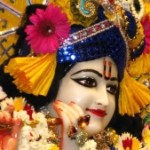 Profile picture of Smiley Sharma