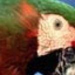 Profile picture of isuwuwuw